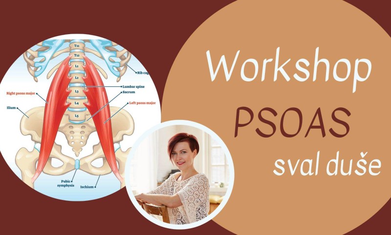 psoas